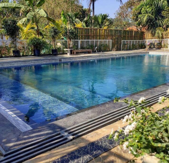 Ibiza Wonderland , Meppadi Wayanad Villa Eksteriør billede